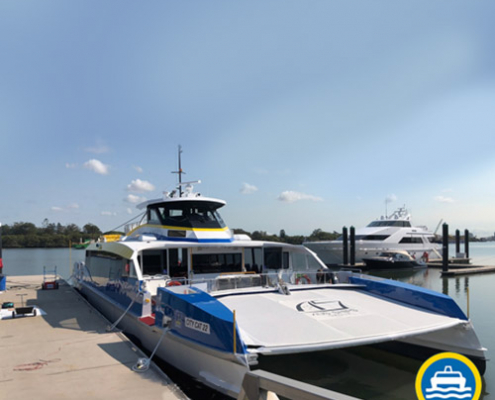 citycat_aflab | ALFAB Australia City Cat